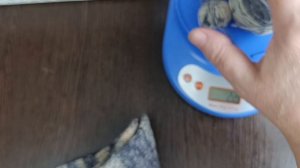 🧶🧦СП"Носочная коробочка 6." с Катериной Шурм. Участница 26