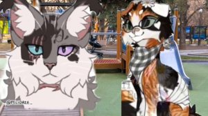 Колаббик с множества квшников №3