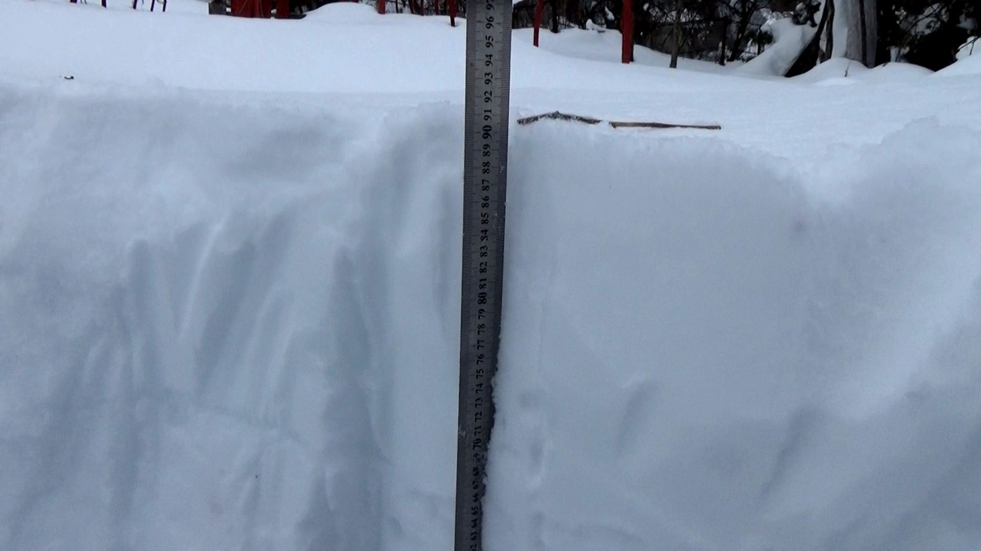 24.02.2026 Рекордная высота снежного покрова во Владимирской области. Город Вязники