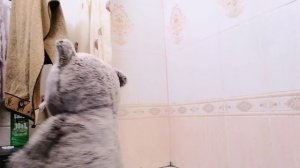 lv_0_20260220191144.mp4