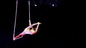 Лучшие воздушные номера: гимнастка на трапеции Kelli Ramazini "Cirque Joyeux" (2018 г.)