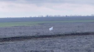 Альфа. 24.02.26