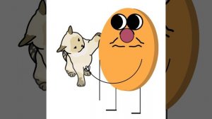 кошка и блины