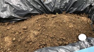 Закапывание в землю