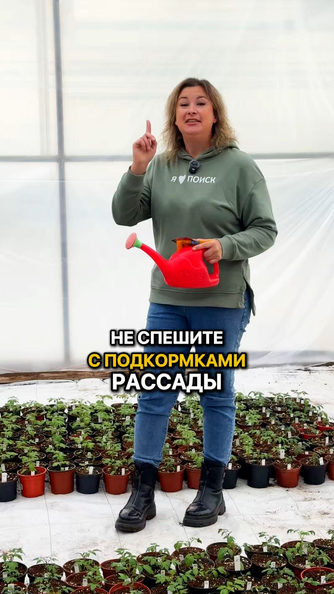 НЕ СПЕШИТЕ с подкормками рассады!