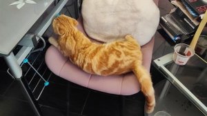 главное - лёжа, а где - не важно😅