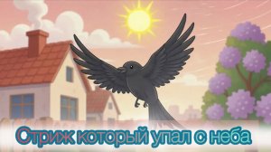 Стриж который упал с неба.