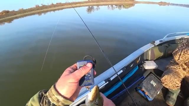 ЩУКА ОДНА ЗА ОДНОЙ! НА РЫБАЛКУ С ЖЕНОЙ. смотреть онлайн