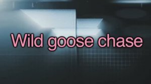 wild goose chase — американский английский, сленг и идиомы