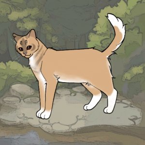 всем добрый вечер!спасибо уже что вас так много! давайте у вас получится добить до 60!!я верю в вас❤