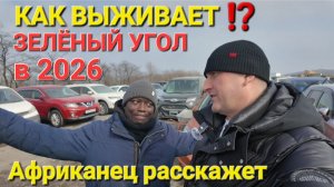 КАК ВЫЖИВАЕТ ЗЕЛЁНЫЙ УГОЛ, ЦЕНЫ ВИДЕО 2026 АВТОРЫНОК ВЛАДИВОСТОК