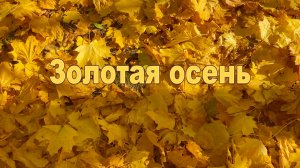 Золотая осень в Коломенском