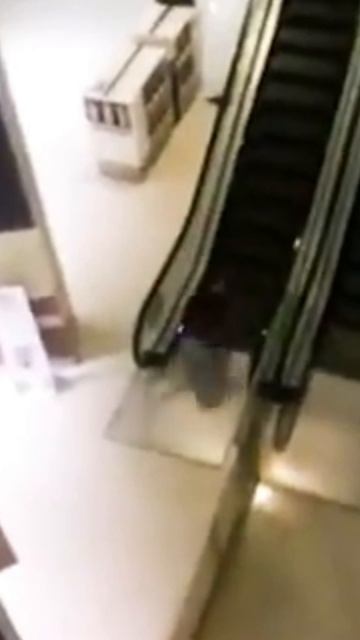 Николай Бойков в шоке от этого! ЧАСТЬ 6