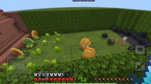 Pvz1 Mc 2 Часть