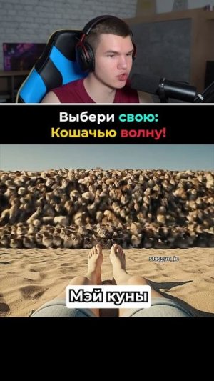 Выбери Свою Кошачью Волну!🐱🥰 #shorts #шортс #челлендж #животные #кот #прикол #кошка #милота #тест