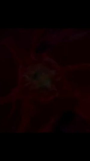 Видео от Департамент Вирусного Контента | ДВК