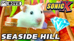 Хомяк Соник против Эггмана ep.2-Зона Приморских холмов Юпитеры, побег хомяка Юпитеры, Хомура Хэм
