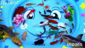 Маленькие рыбки