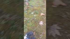 Я ОКАЗАЛАСЬ ВЕДЬМОЙ 🥴