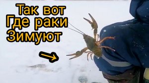 Попали на бешеный клев  Рыбалка в курской области в гостях у Петровича .