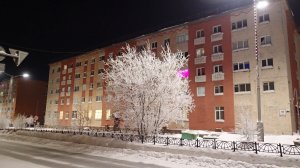 2026.02.23. Норильск взял -43,7 и снова деревья красивейшие! О погоде в описании.