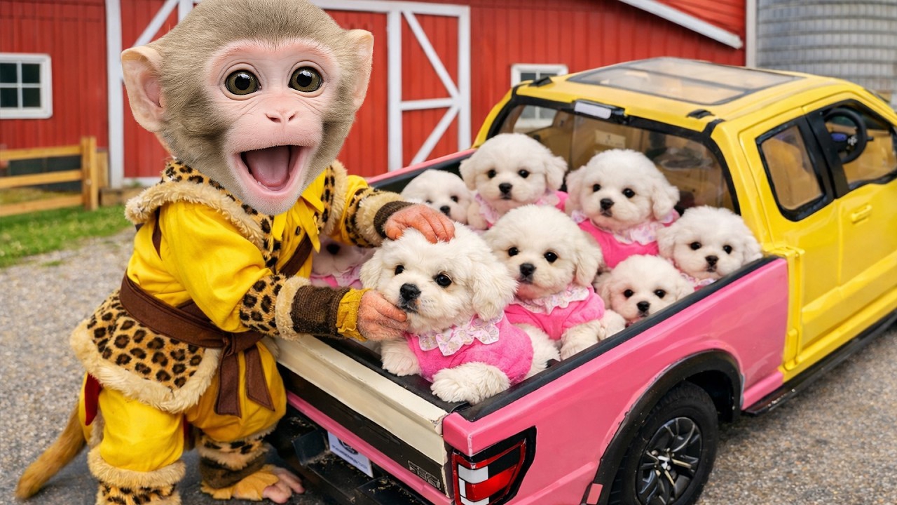 Мультики для детей. Приключение обезьянки и его друга мультик, сборник про обезьянку/видео обезьянка смотреть онлайн