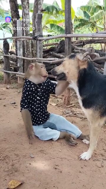 Бесконечный Читатель Сезон 1 Серия 2 Собака смотреть онлайн