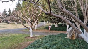 Нанкин. Караоке под эрху в городском парке