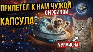 Чужой.👽Галактика.🌌Правда раскрылась😁