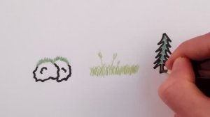 Почему листья зелёные?