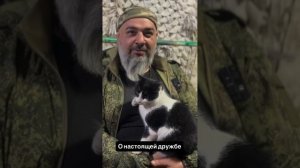 С Днём Защитника Отечества/ Счастливые встречи бойцов/ Поздравление от волонтеров