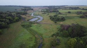 Тульская область. Чернский район. Урочище Гудаловка 4.0 Май/июнь