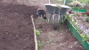 Ах лето! Люська дуркует!