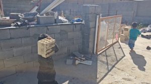 Детский страх говорить правду, счастье Сами и помощь матери.