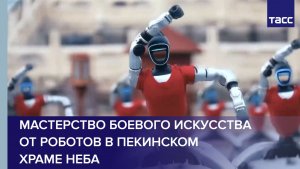 Мастерство боевого искусства от роботов в пекинском Храме Неба