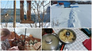 УТРО У РОДИТЕЛЕЙ  ● СКВОРЕЧНИК ПЕРЕД ОКНОМ ● ЗАЕДЕМ В САД И ДОМОЙ ● БЫСТРЫЙ УЖИН