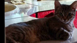 Дед вспомнил Лёху, послушай о себе