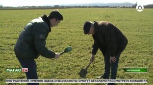 Россельхозцентр Ингушетии проводит фитомониторинг