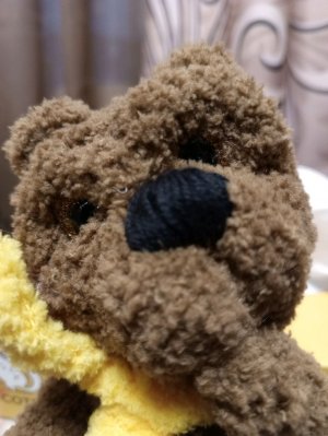 рассказываю о науке и отвечаю на вопросы