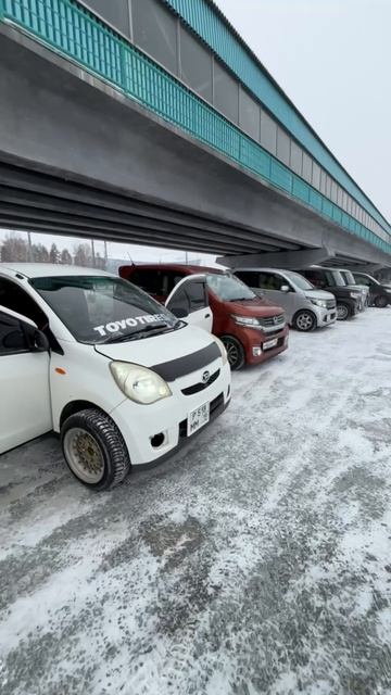 Начало встречи 23.02.2026