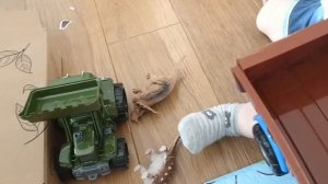 Ранний подъем 29 день | подарки на 23 февраля | завершила подготовку к поставкам