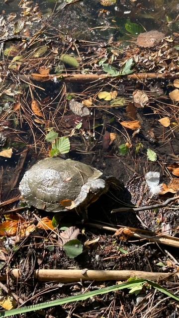 Пока живешь на белом свете - радуйся!