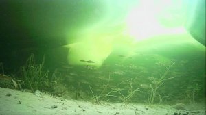 1000010375.mp4Волга гл.2м.24.02.2026г.