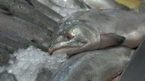 РЫБА НА ЭКСПОРТ