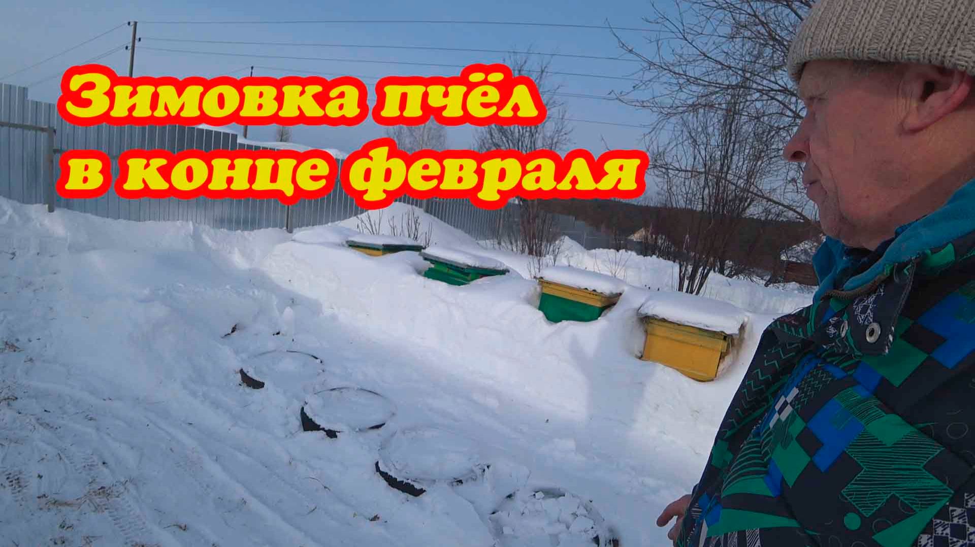 ЗИМОВКА ПЧЁЛ В КОНЦЕ ФЕВРАЛЯ смотреть онлайн