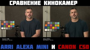 сравнение canon c50 vs arri  alexa mini