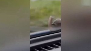 Лучшая подборка приколов. часть 5 - Досмотри до конца!!!)))