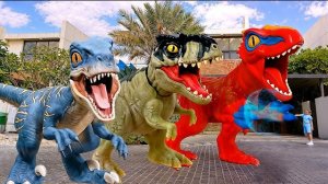 Игрушки-динозавры Стефи, способные растягиваться, оживают у нее дома | Научные эксперименты