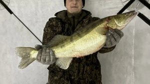 ПРОБУЕМ Ловить СУДАКА на Эхолот практик 8.Выстрельнул НОЧНОЙ БОНУС