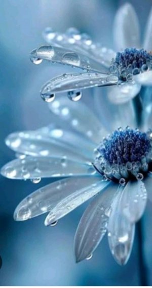 всем привет.в описание мой тк кана🔮⬇️